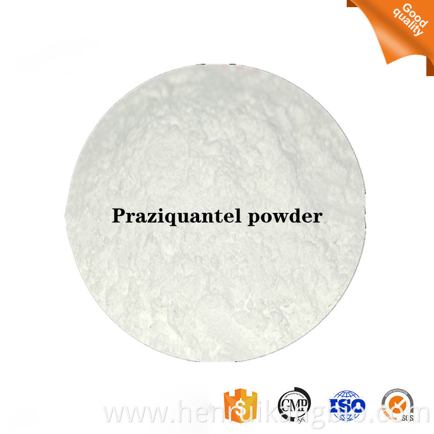 Praziquantel powder